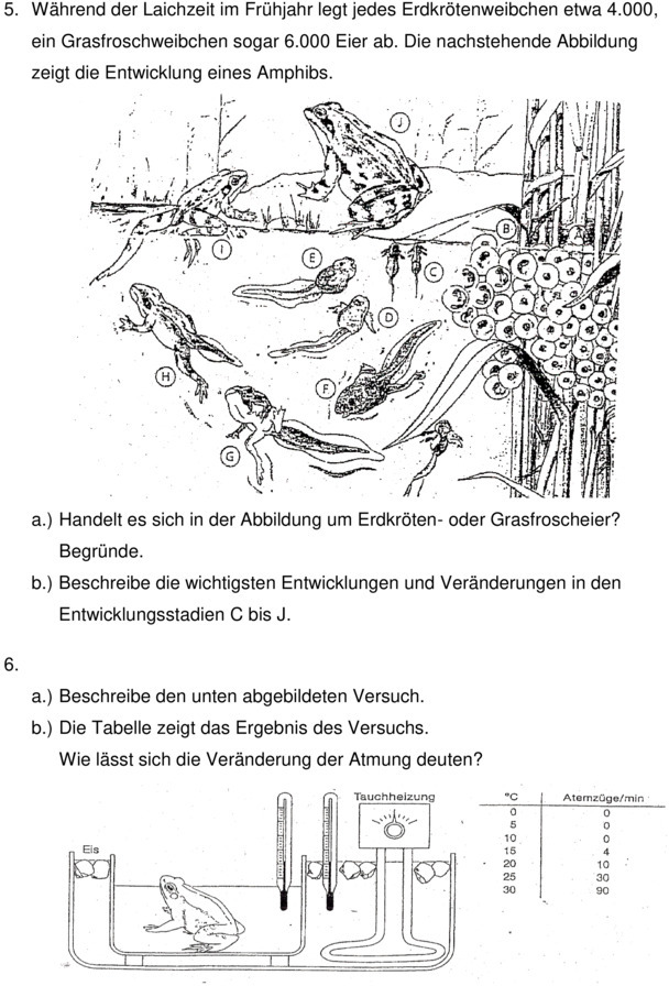 Klassenarbeit zu Wechselwarme Tiere